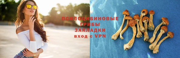 мяу мяу мука Арсеньев