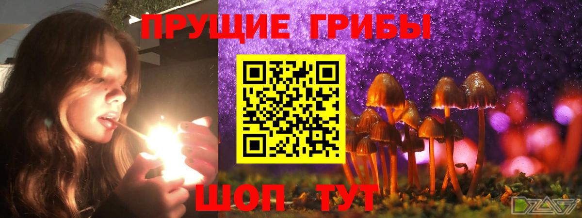 Галлюциногенные грибы MAGIC MUSHROOMS  Псилоцибиновые грибы мицелий  Бирск 